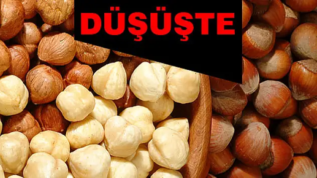 Fındık Fiyatı Düşüşte