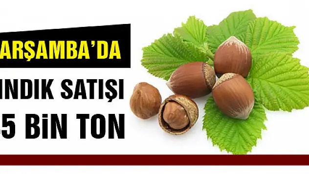 Çarşamba'da fındık satışı yaklaşık 45 bin ton