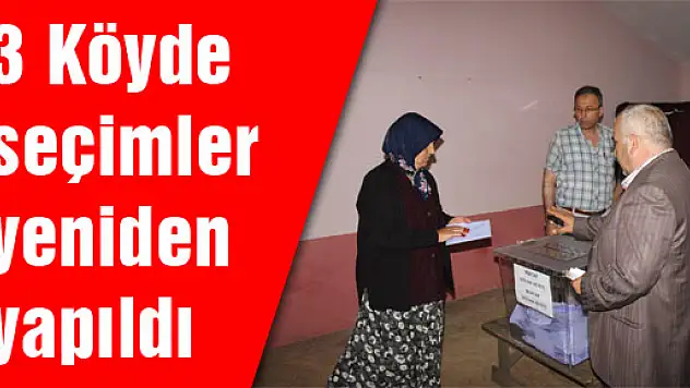 3 Köyde seçimler yeniden yapıldı