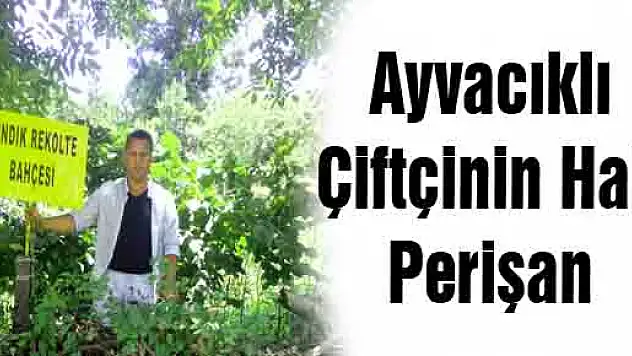 Ayvacıklı Çiftçinin Hali Perişan