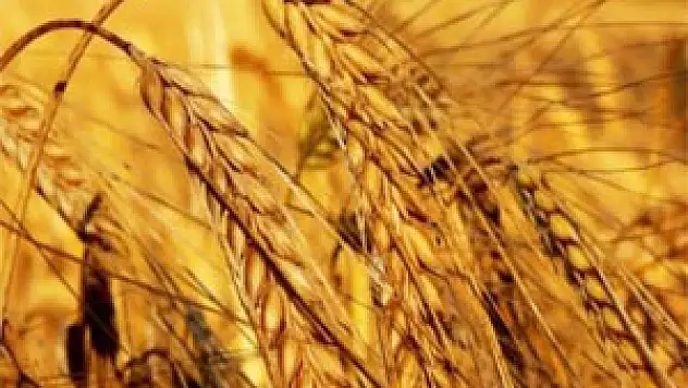 Verimi artırmanın yolu araziye değil tarıma yatırımdan geçiyor