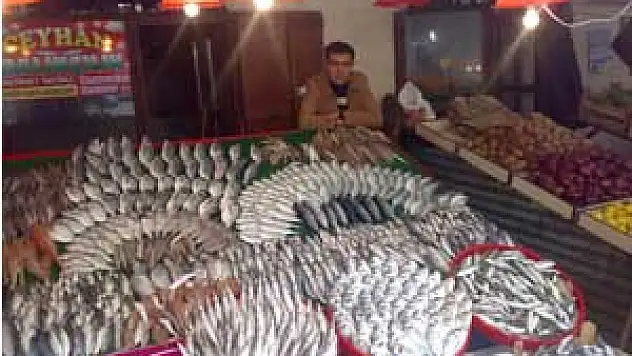 Balıkçılıktaki potansiyel iyi değerlendirilmeli