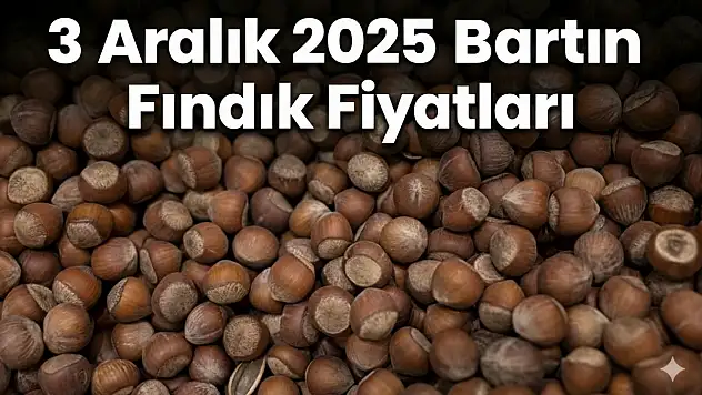 3 Aralık 2025 Bartın Fındık Fiyatları | Amasra'da Yoğun Talep: 318 TL Seviyesi Konuşuluyor