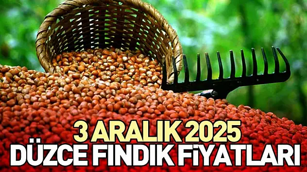 3 Aralık 2025 Düzce Fındık Fiyatları