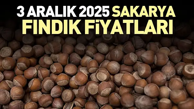 3 Aralık 2025 Sakarya Fındık Fiyatları | Karasu ve Kaynarca'da Rekabet Yeniden Alevlendi