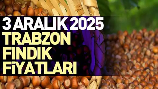 3 Aralık 2025 Trabzon Fındık Fiyatları