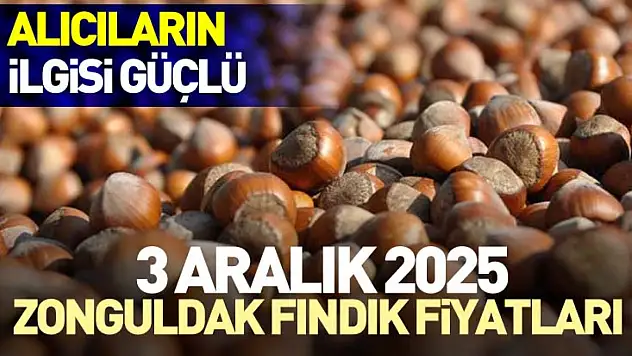 3 Aralık 2025 Zonguldak Fındık Fiyatları