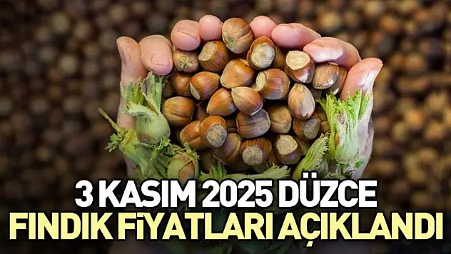 3 Kasım 2025 Düzce Fındık Fiyatları Açıklandı