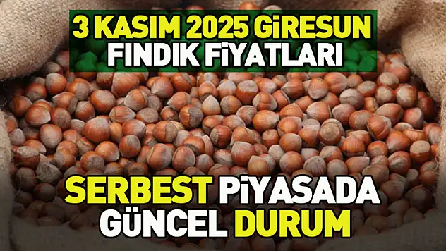 3 Kasım 2025 Giresun Fındık Fiyatları: Serbest Piyasada Güncel Durum