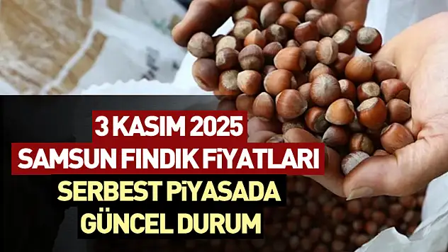 3 Kasım 2025 Samsun Fındık Fiyatları: Serbest Piyasada Güncel Durum