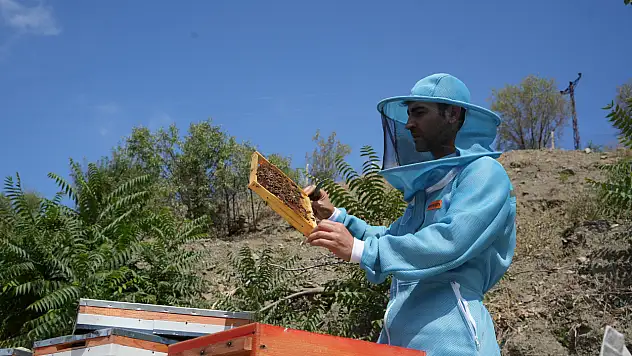 3 kuşaktır süren arıcılık