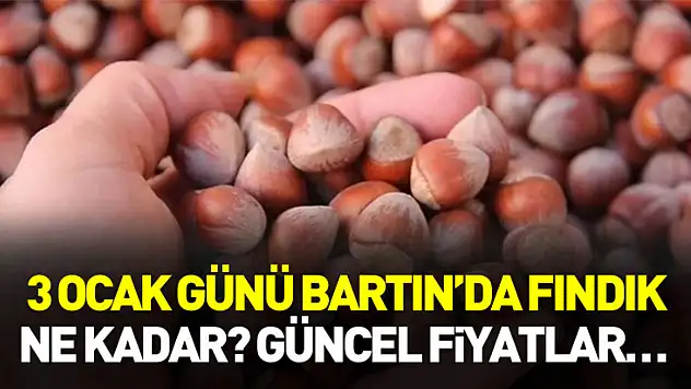 3 Ocak günü Bartın'da fındık ne kadar? Güncel fiyatlar…