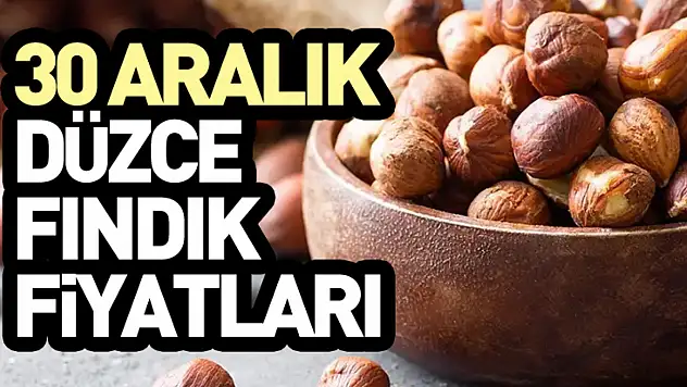 30 Aralık 2025 Düzce Fındık Fiyatları