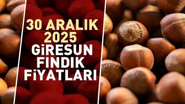30 Aralık 2025 Giresun Fındık Fiyatları Rekor Seviyede Yılı Kapattı