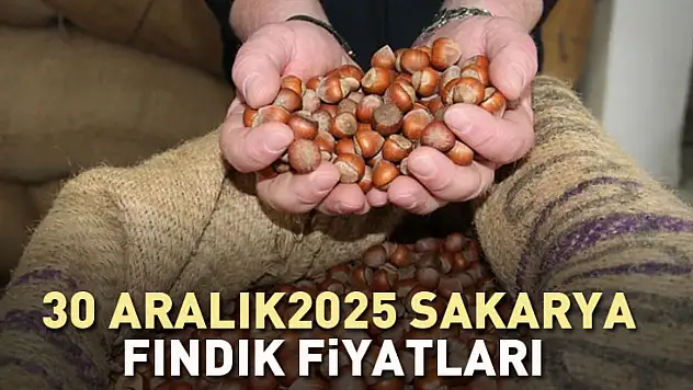 30 Aralık 2025 Sakarya Fındık Fiyatları | Marmara'da Sağlam Zemin