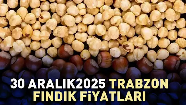 30 Aralık 2025 Trabzon Fındık Fiyatları | Sahil Güçlü, İç Kesim Beklemede