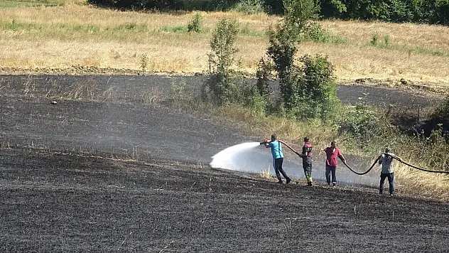 30 dönümlük alan küle döndü