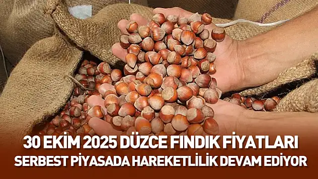 30 Ekim 2025 Düzce Fındık Fiyatları: Serbest Piyasada Hareketlilik Devam Ediyor