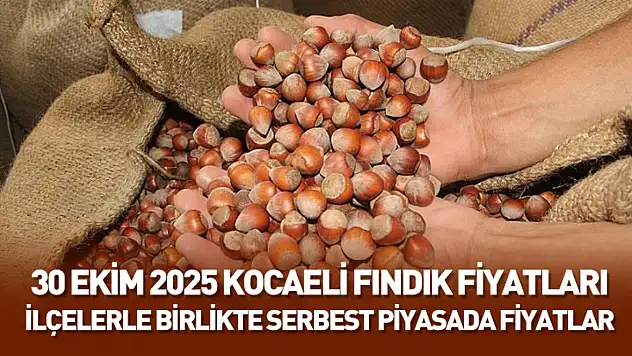 30 Ekim 2025 Kocaeli Güncel Fındık Fiyatları: Serbest Piyasada Dengeli Seyir Devam Ediyor