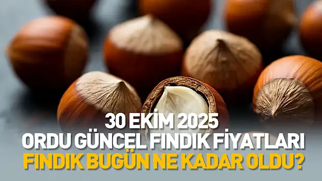 30 Ekim 2025 Ordu Güncel Fındık Fiyatları: Fındık Bugün Ne Kadar Oldu?