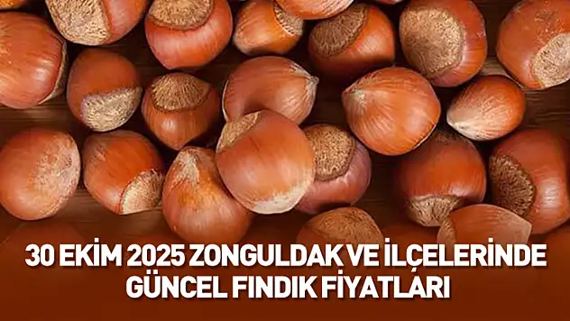 30 Ekim 2025 Zonguldak Güncel Fındık Fiyatları: Fındık Piyasasında Denge Korunuyor