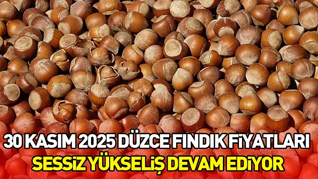 30 Kasım 2025 Düzce Fındık Fiyatları | Sessiz Yükseliş Devam Ediyor