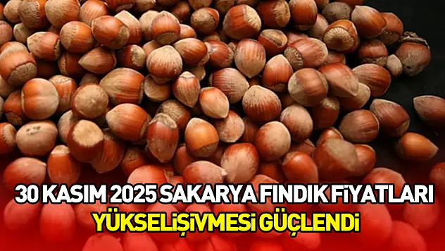 30 Kasım 2025 Sakarya Fındık Fiyatları | Yükseliş İvmesi Güçlendi