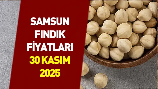30 Kasım 2025 Samsun Fındık Fiyatları | Yükseliş Hızlandı, 310 TL Barajı Aşılmak Üzere