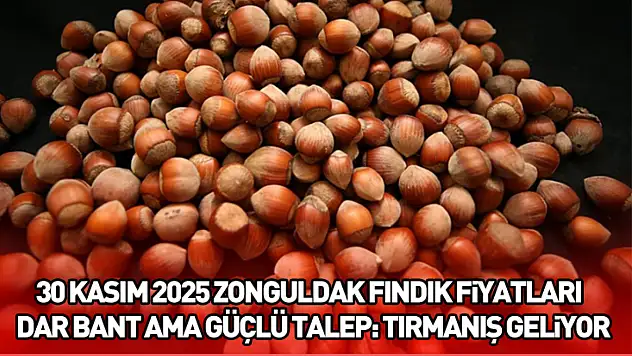 30 Kasım 2025 Zonguldak Fındık Fiyatları | Dar Bant Ama Güçlü Talep: Tırmanış Geliyor