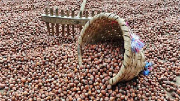 İhracatın Yarısı Yabancılara Geçti