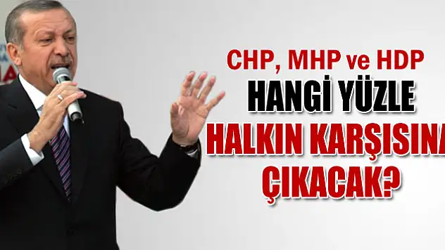 Erdoğan'dan CHP, MHP ve BDP'ye eleştiri