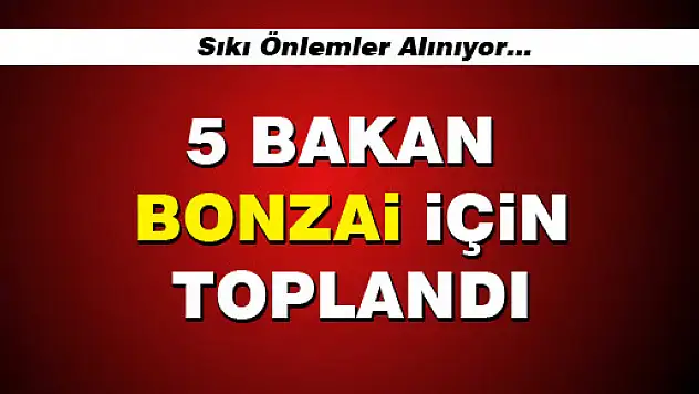 BEŞ BAKAN BONZAİ TOPLANTISI YAPTI