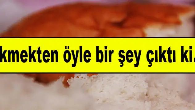Ekmekten öyle bir şey çıktı ki...