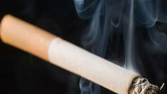 Her yıl dünyada 1 milyon kişi sigara dumanından ölüyor