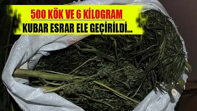 JANDARMADAN OPERASYON: 500 KÖK VE 6 KİLOGRAM KUBAR ESRAR ELE GEÇİRİLDİ...