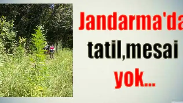 Jandarma'da tatil, mesai yok...