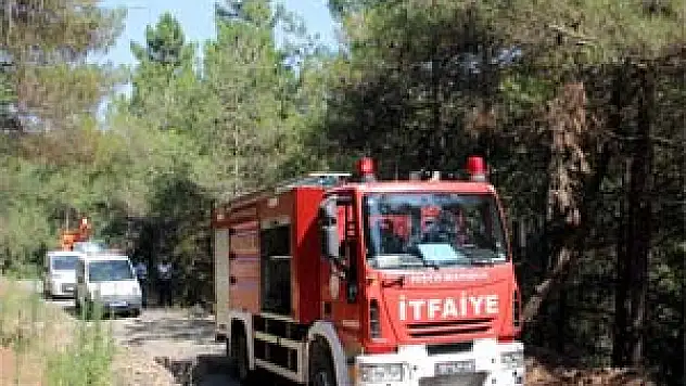 Omü Kampüsünde Yangın Paniği