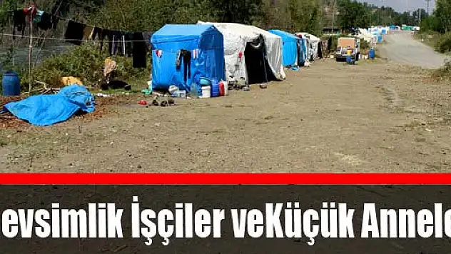 Mevsimlik İşçiler ve Küçük Anneler
