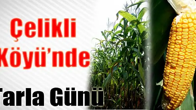 Çelikli Köyü'nde Tarla Günü