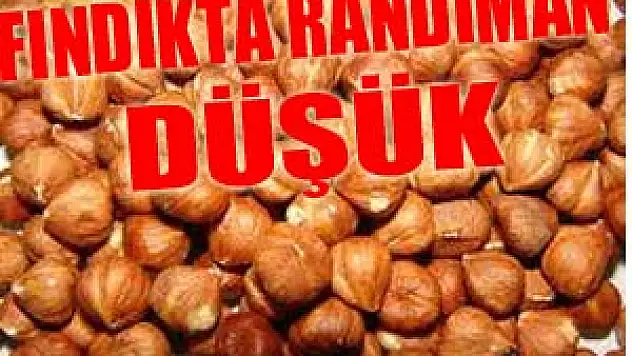 FINDIKTA RANDIMAN DÜŞÜK!