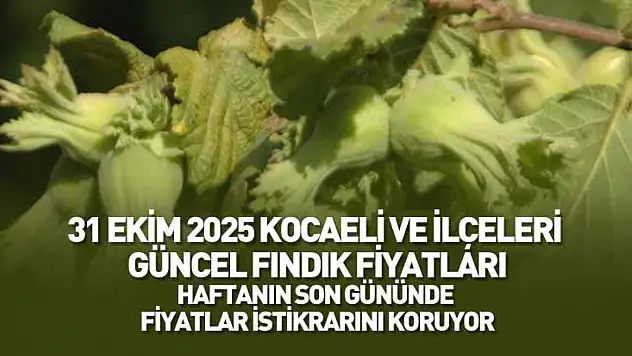 31 Ekim 2025 Kocaeli Güncel Fındık Fiyatları: Haftanın Son Gününde Fiyatlar İstikrarını Koruyor