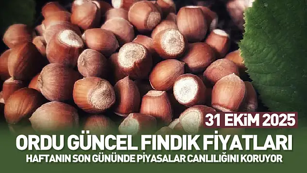 31 Ekim 2025 Ordu Güncel Fındık Fiyatları: Haftanın Son Gününde Piyasalar Canlılığını Koruyor