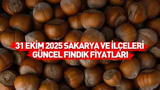 31 Ekim 2025 Sakarya Güncel Fındık Fiyatları: Haftanın Son Gününde Fiyatlar Yükselişini Sürdürüyor