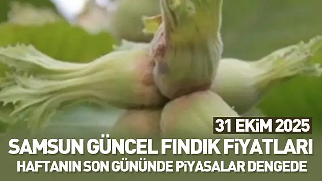 31 Ekim 2025 Samsun Güncel Fındık Fiyatları: Haftanın Son Gününde Piyasalar Dengede