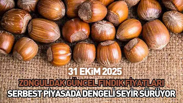 31 Ekim 2025 Zonguldak Güncel Fındık Fiyatları: Serbest Piyasada Dengeli Seyir Sürüyor