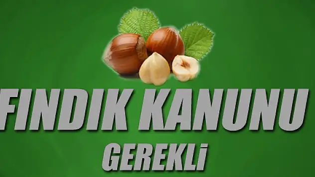 Başkan Murzioğlu'na Fındık Kanunu Raporu