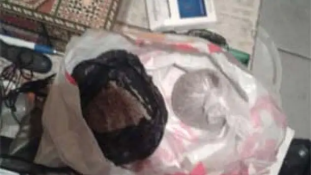 Şebekenin lideri 14 yaşında!