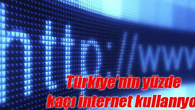 Türkiye'nin yüzde kaçı internet kullanıyor?