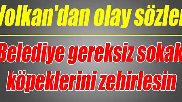 Volkan'dan olay sözler: Belediye gereksiz sokak köpeklerini zehirlesin
