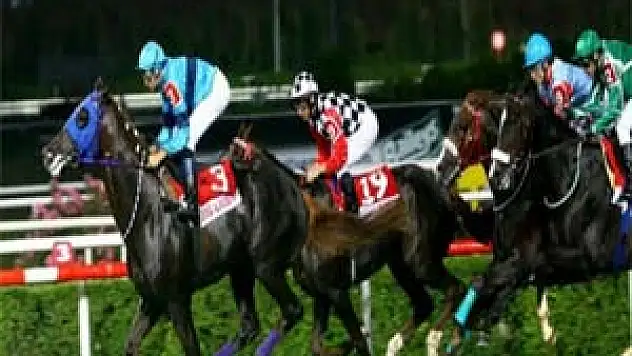 At Yarışları ve Toto da Özelleşecek